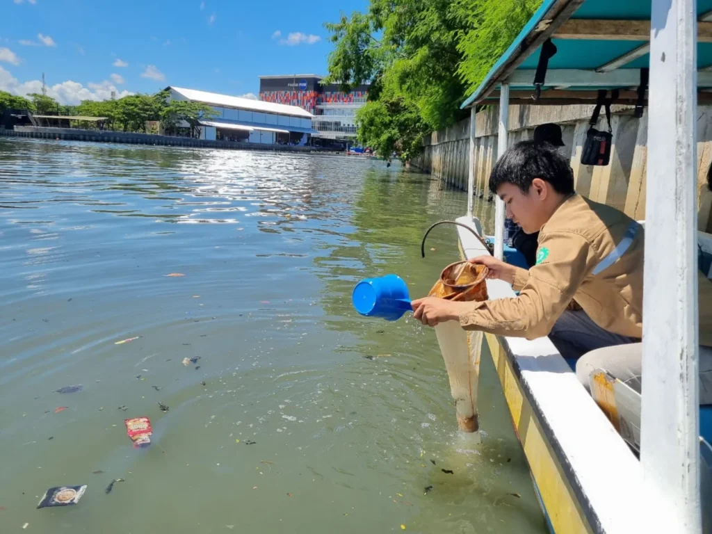 Pandit (5).1